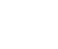 100 Posters