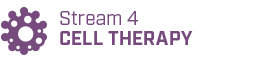 Stream 4 - CELL THERAPY